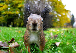 Это просто жизнь