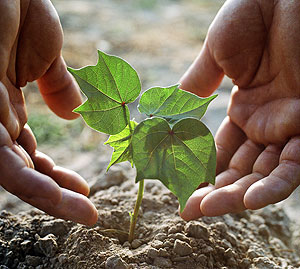Восстанем из пепла как и в 1998 году