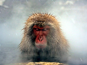 Это просто жизнь