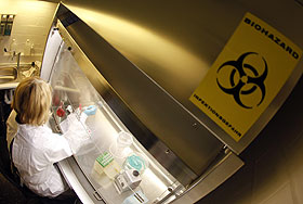 Каникулы проведем дома