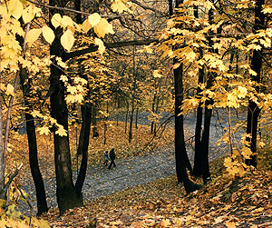 Тепло на осенний лад