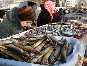 Рыба на колесах