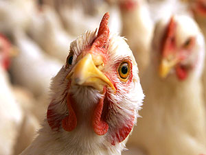 Это просто жизнь