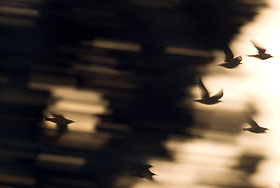 Мрачная пятница для России