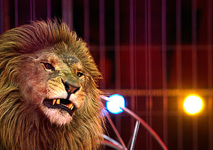 Укрощение цен не оценили