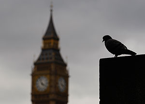 Отсрочка для Чичваркина