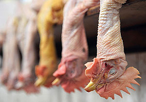 Это просто жизнь