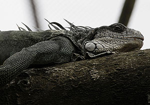 Это просто жизнь