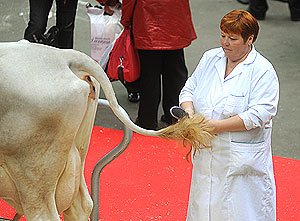 2009: Из "черной дыры" в паровозы