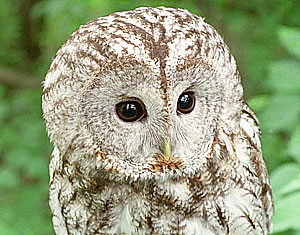 Это просто жизнь