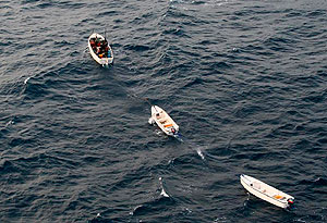 Пираты с нами