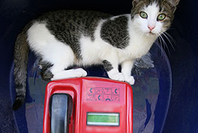 Российские коды: они и только они