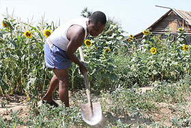 "Перелопатить" май