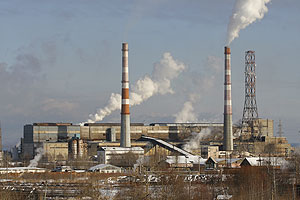 Озеро, целлюлоза, блеск в глазах