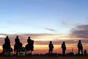 В Египте туристы попали в ДТП