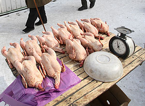 Доктрина на пропитание