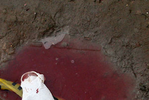 Смерть семерых