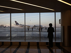 ФАС проверит сделку Аэрофлот-Росавиа