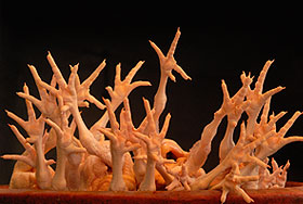 Россияне против "ножек Буша"