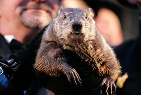 Это просто жизнь