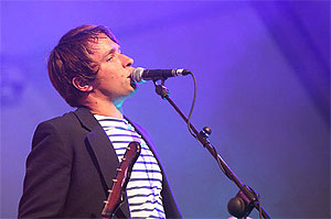 Шведские скакуны