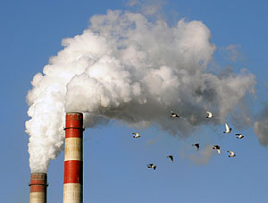 Энергопакет Путина