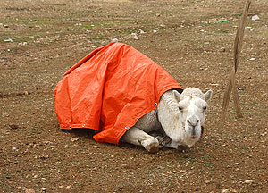 Это просто жизнь