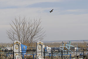 Осквернение, которого не было