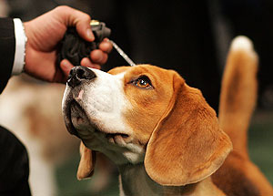 Это просто жизнь