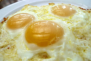 Сальмонеллез на пути "ножек Буша"