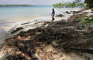 Прах дауншифтера едет домой