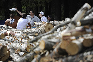 Споры о Химкинском лесе