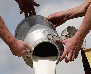 Сговорились против ценового заговора