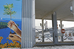 Особо опасные хлорированные гваяколы