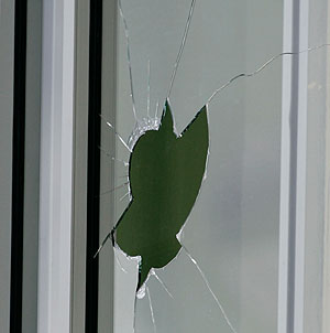 Пуля не нашла антифашиста