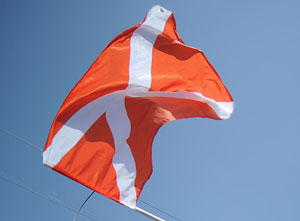 Митволь и "Наши": спор о публичных домах