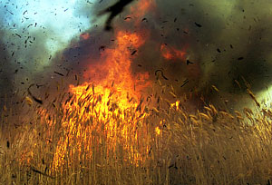 "Жаркие" потери прирастают миллиардами