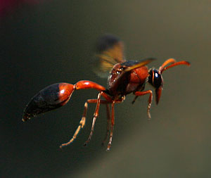 Это просто жизнь