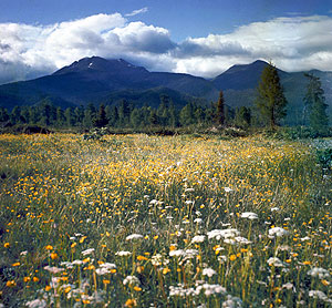 Экорейтинг с новыми показателями