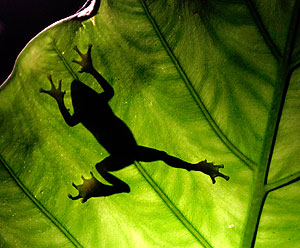 Это просто жизнь