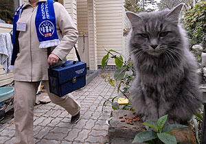 Это просто жизнь