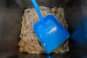 Импортной птице закроют границы?