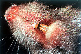 Это просто жизнь