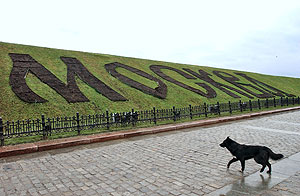 Рекорды в ноябре