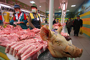 Свиной грипп не должен вернуться