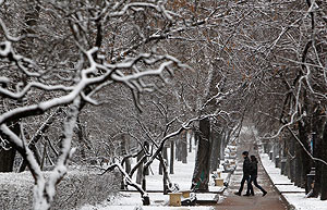 За неделю до зимы