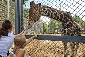 Зоопарк возмущен