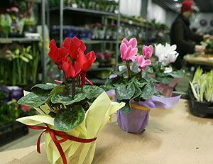 Это просто жизнь