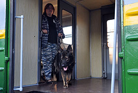 ЧП с поездом Псков-Москва