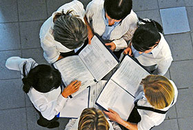 Идеальный шеф